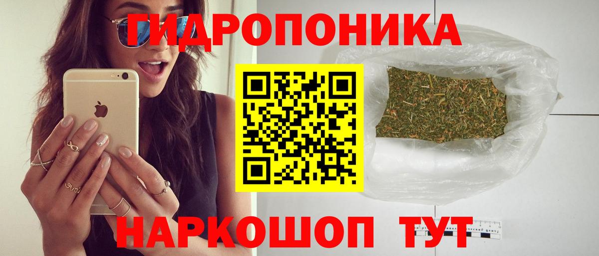 Канабис OG Kush Ангарск